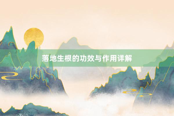 落地生根的功效与作用详解